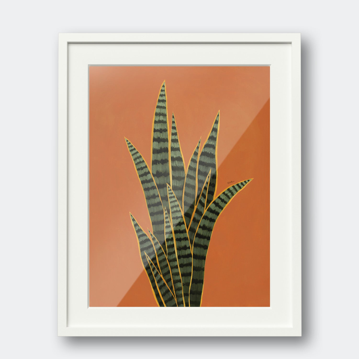 Snake Plant