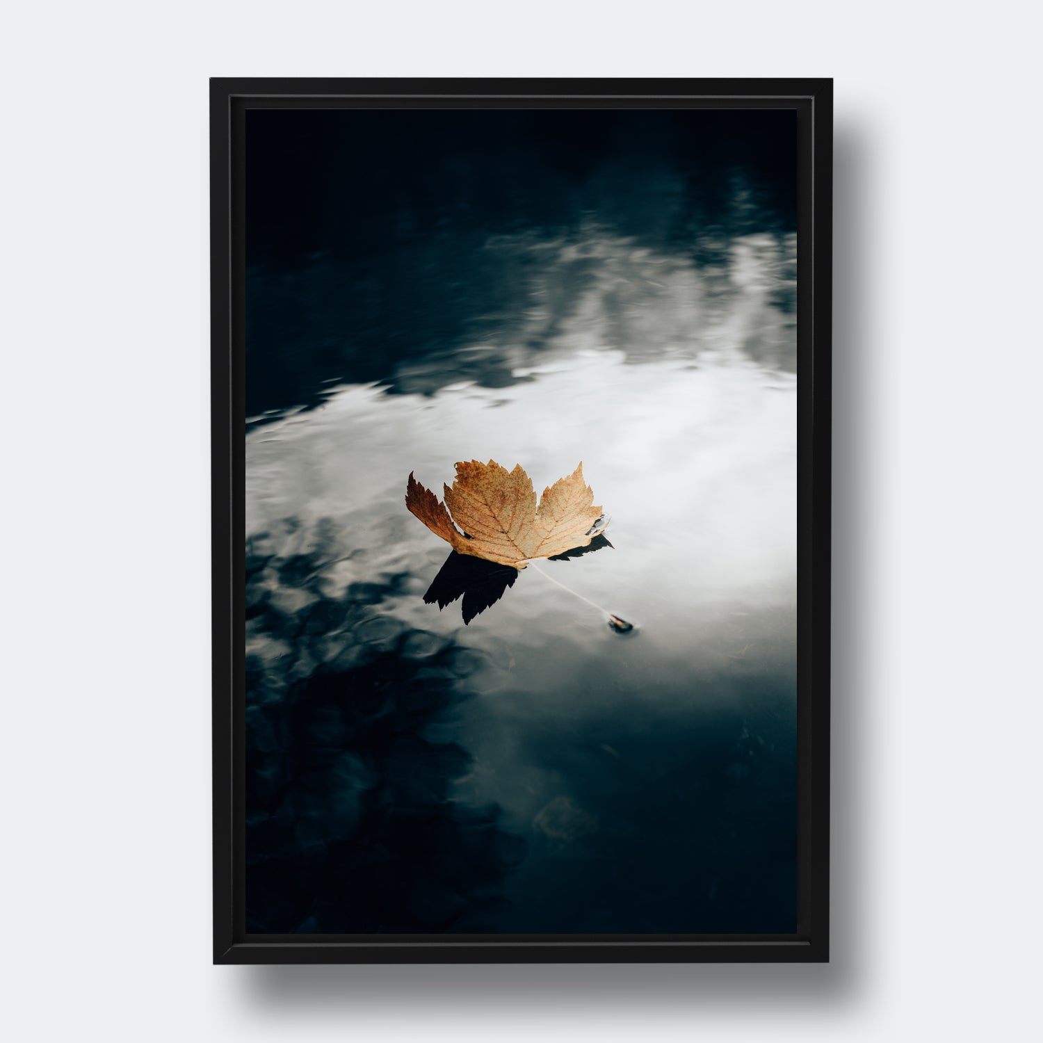 Autumn Comes