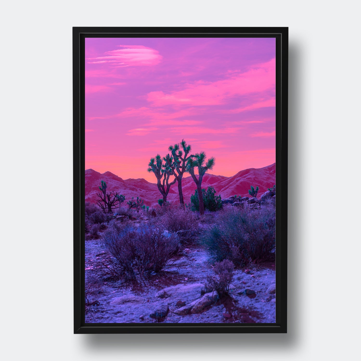 California Dreaming
