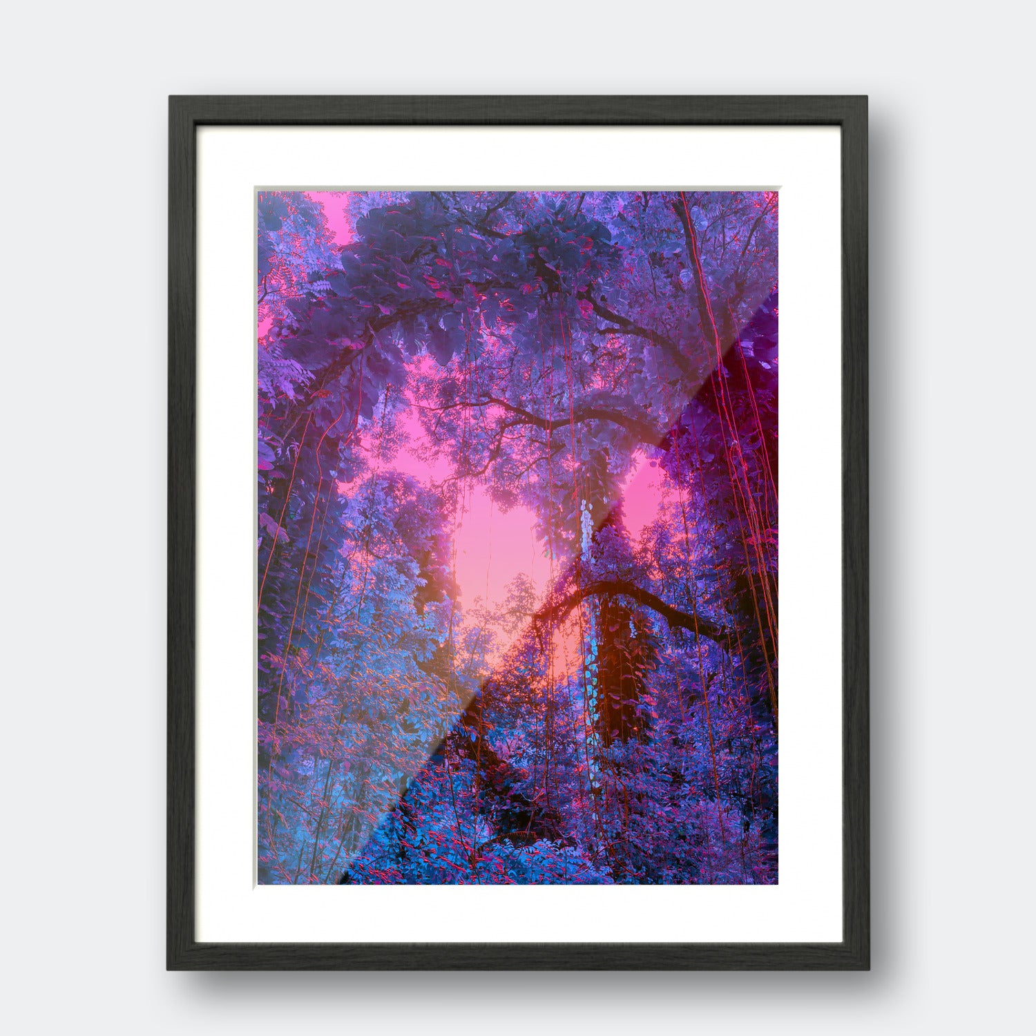Fantasy Canopy