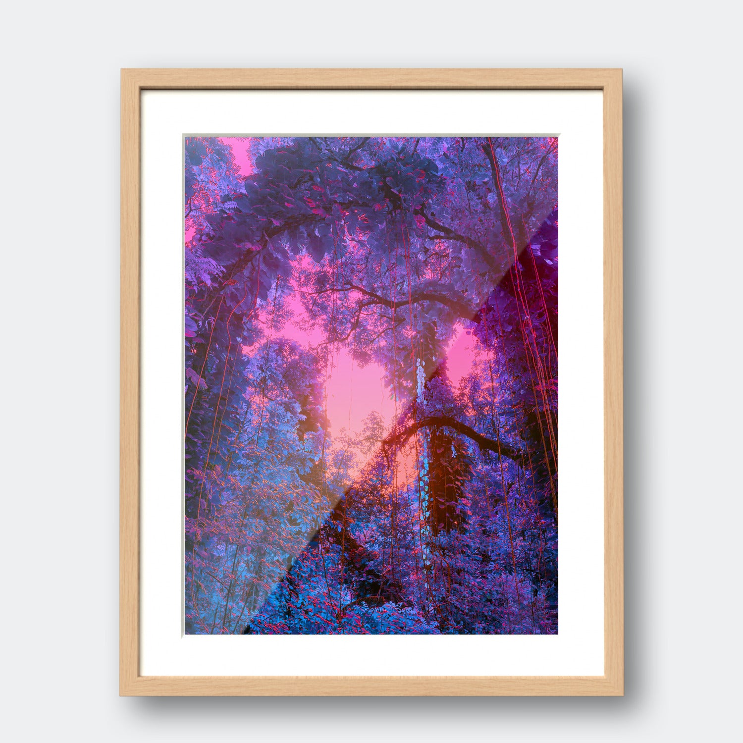Fantasy Canopy