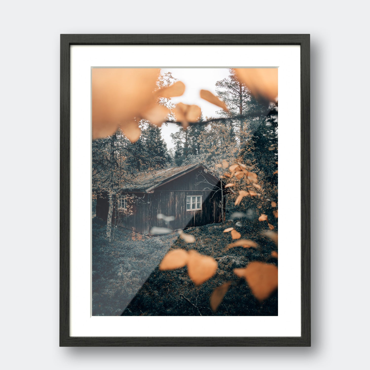 Forest Lodge