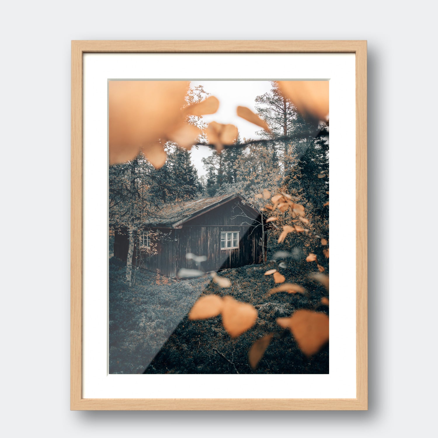 Forest Lodge