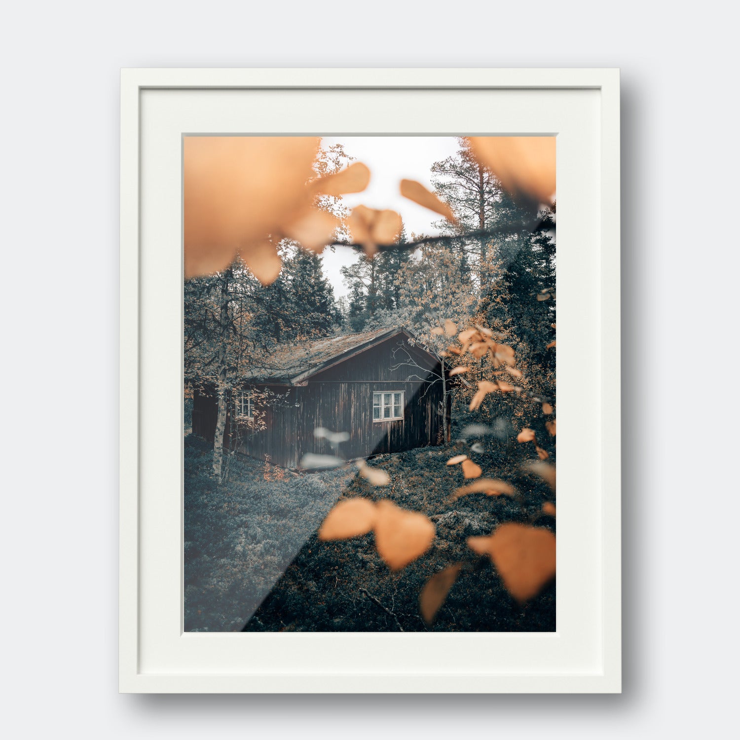 Forest Lodge