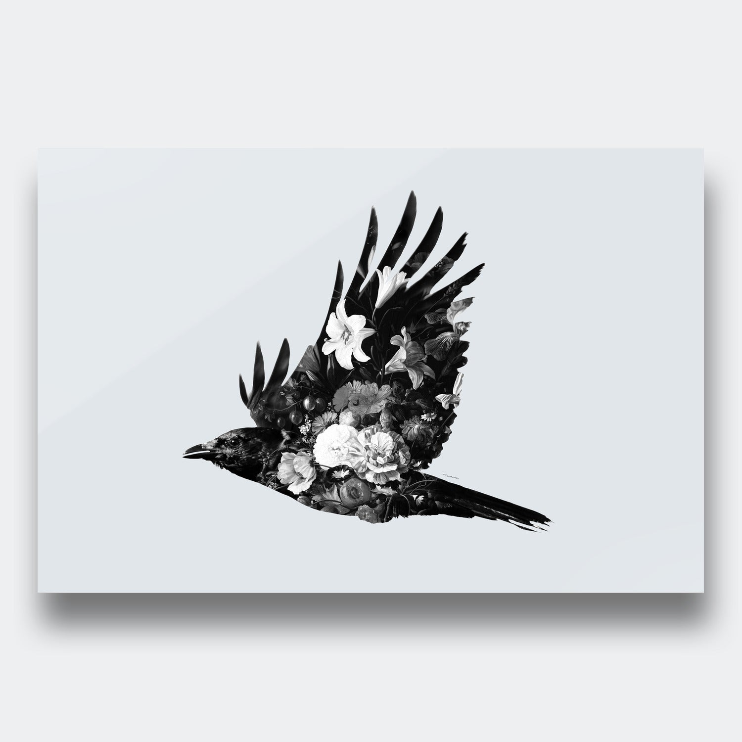 Huginn