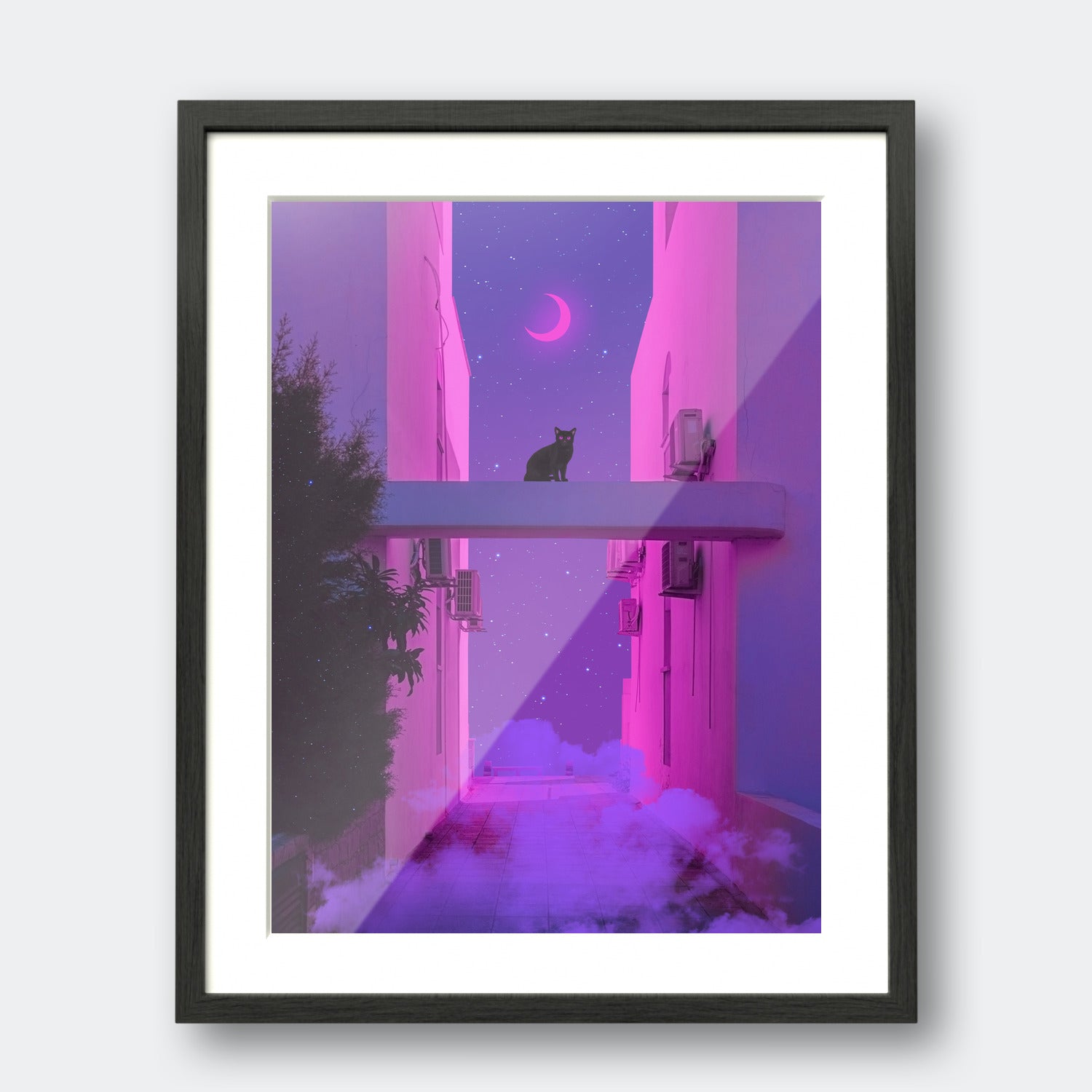 Magical Black Cat