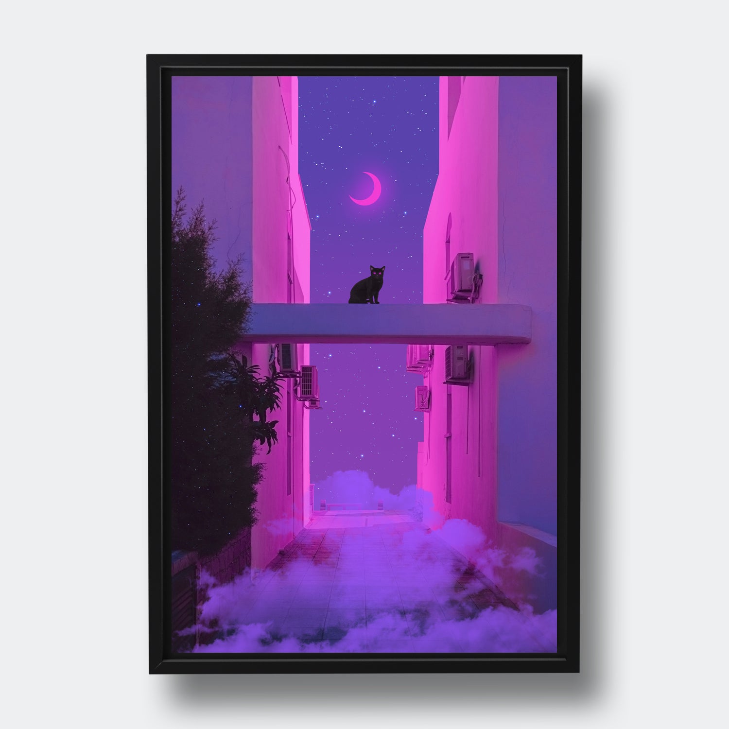 Magical Black Cat