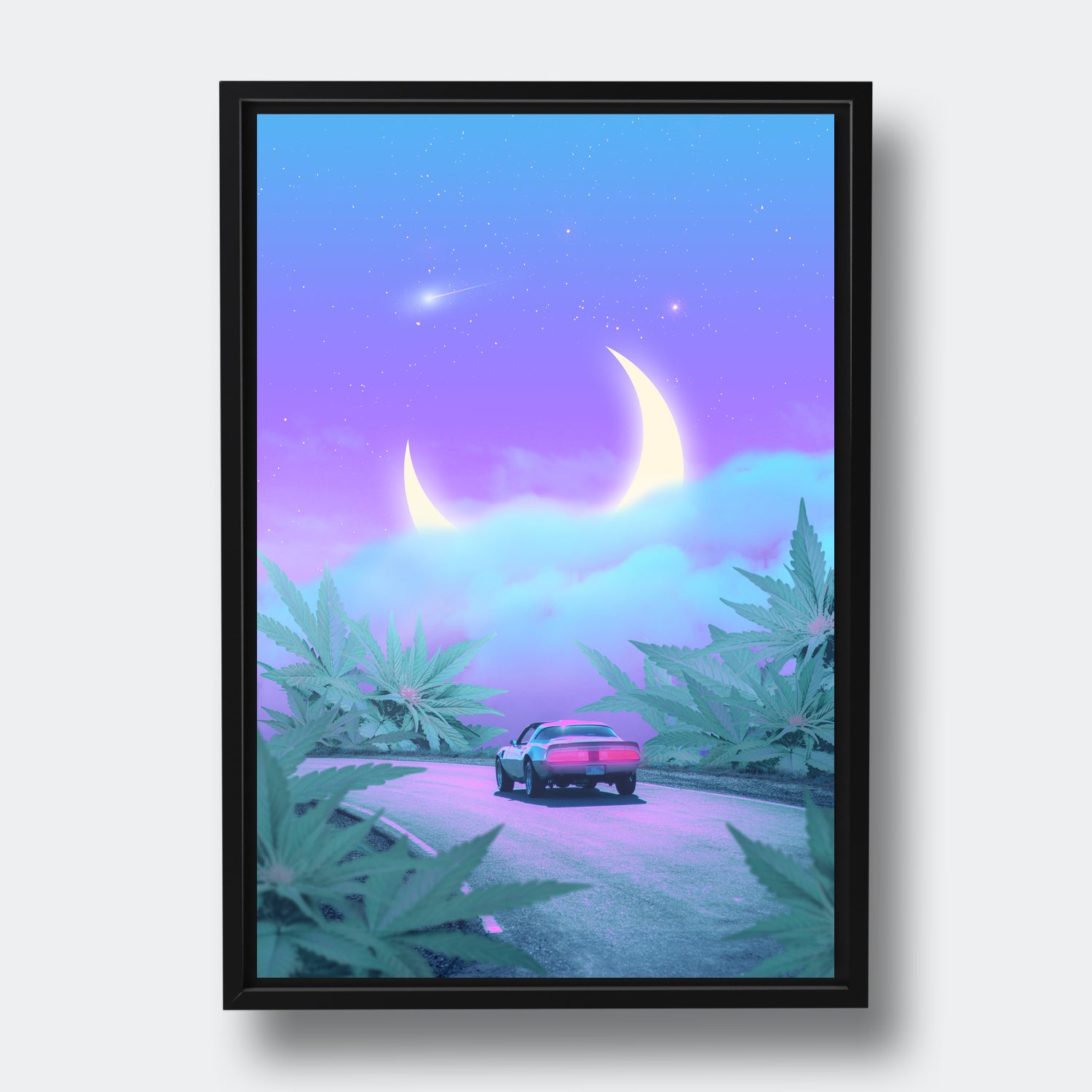 Moonweed Road