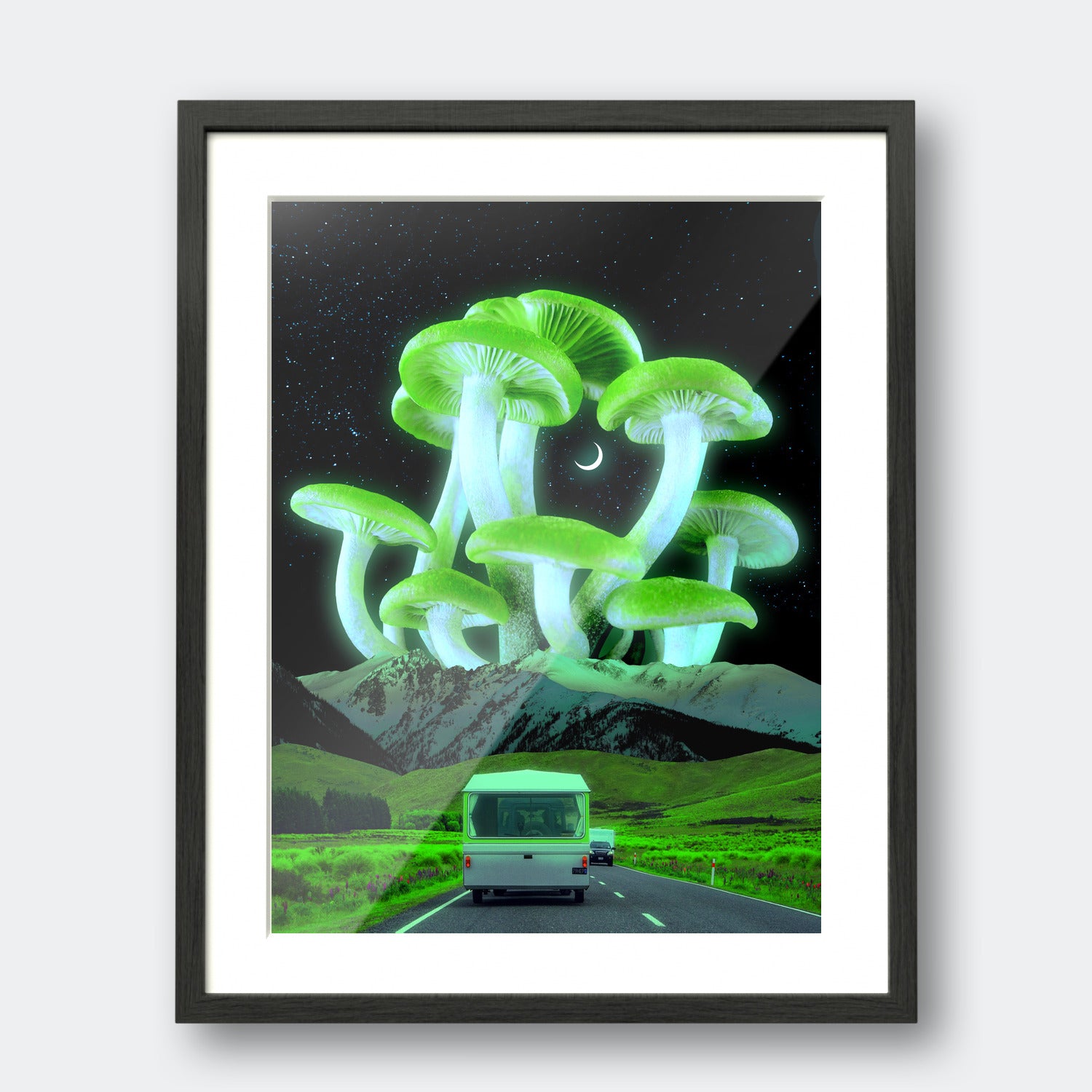 Mushroom Road