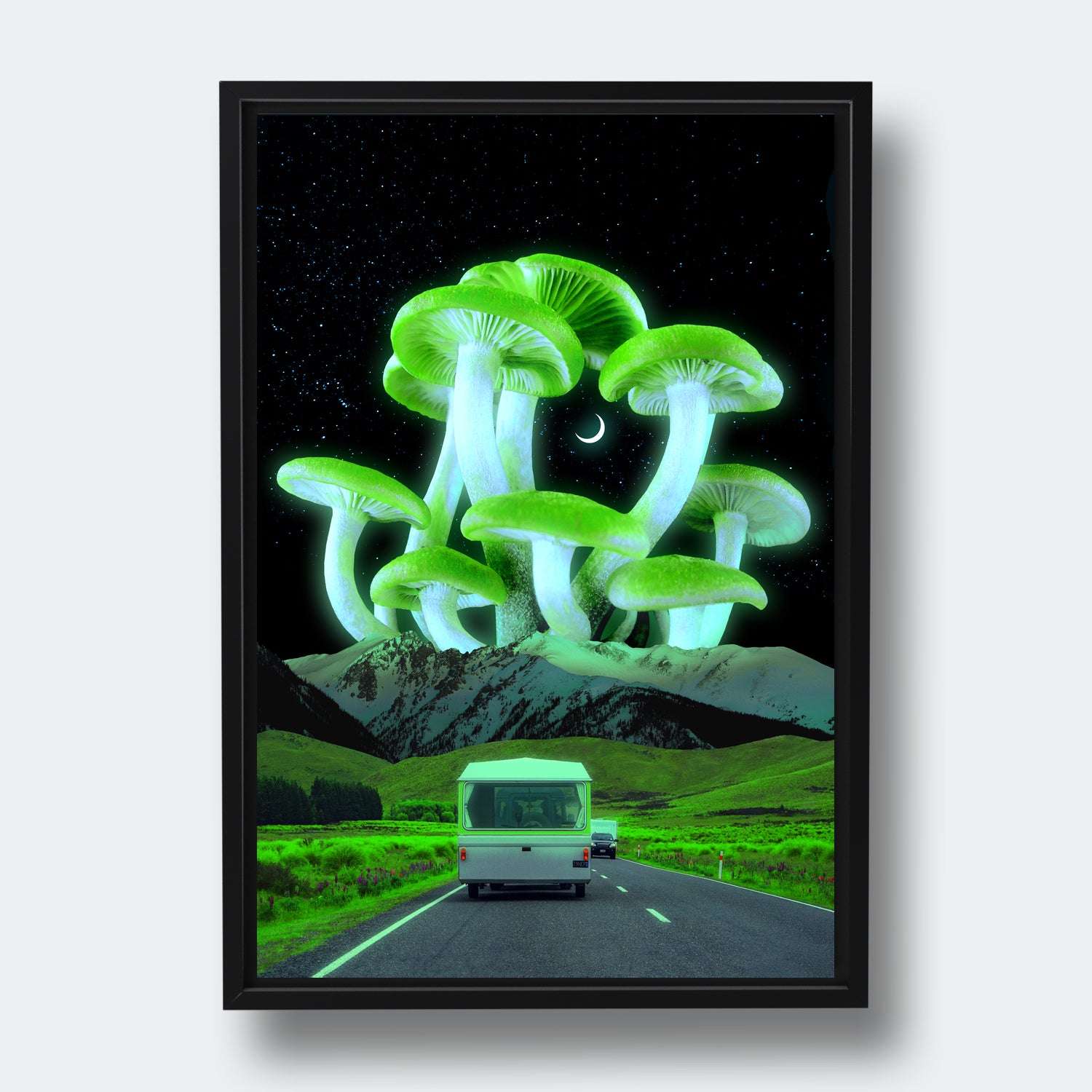 Mushroom Road