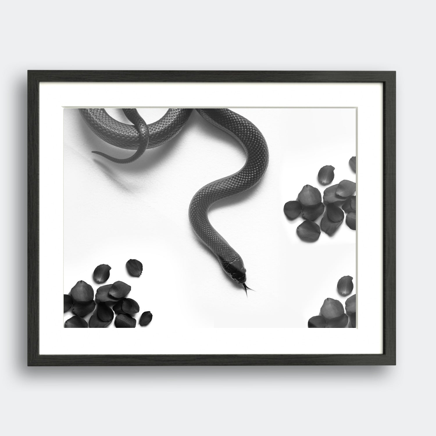 Snake Petals