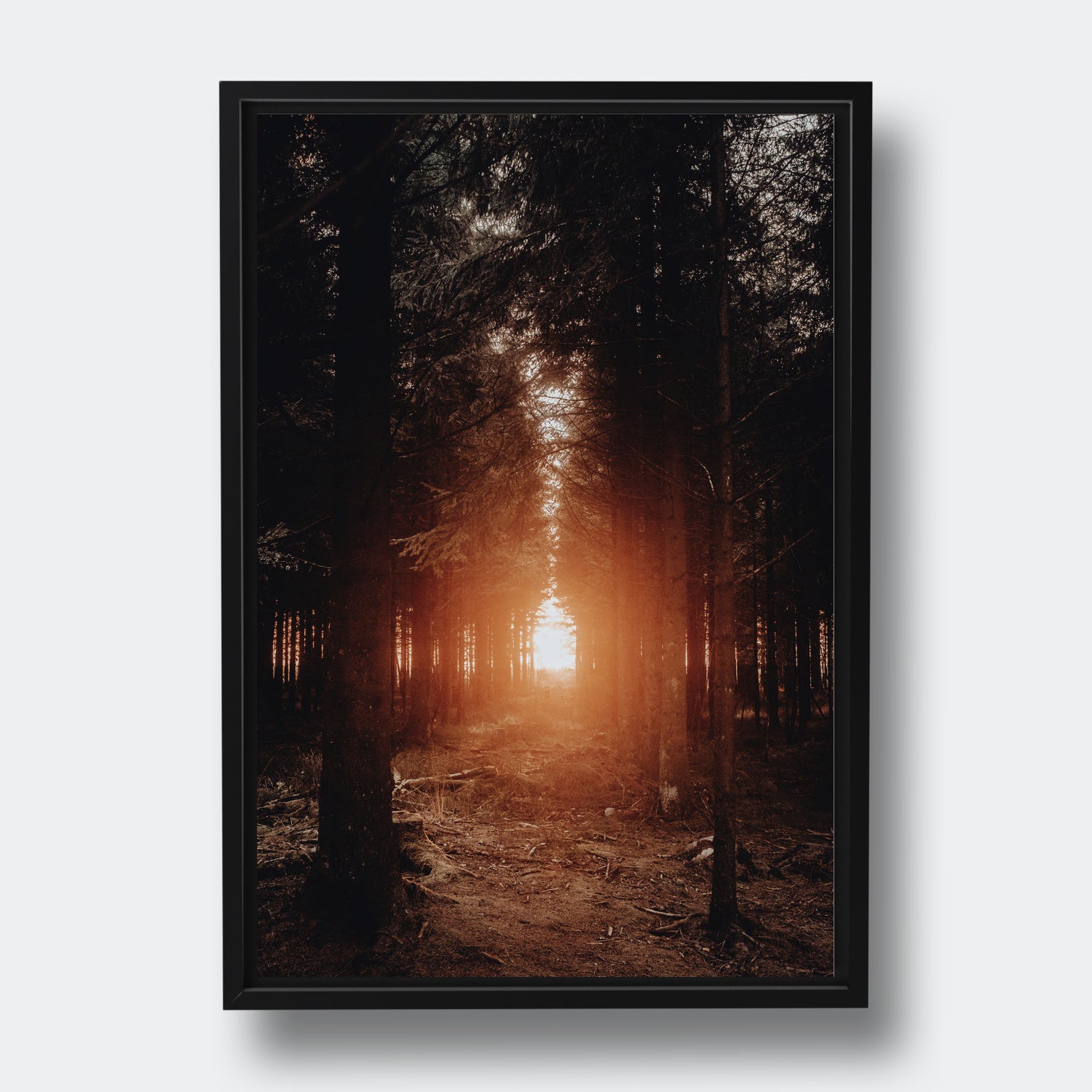 Seek | Belgium
