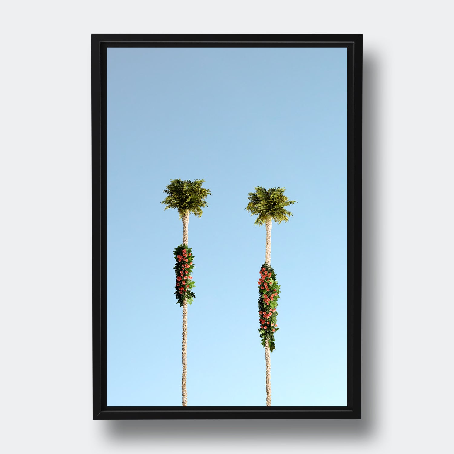 Palm Springs III