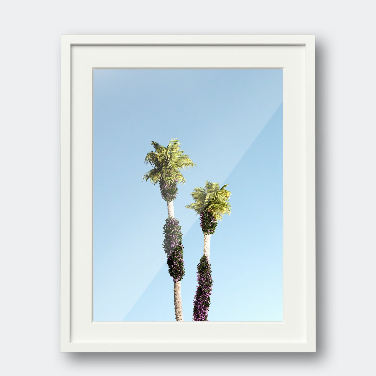 Palm Springs II