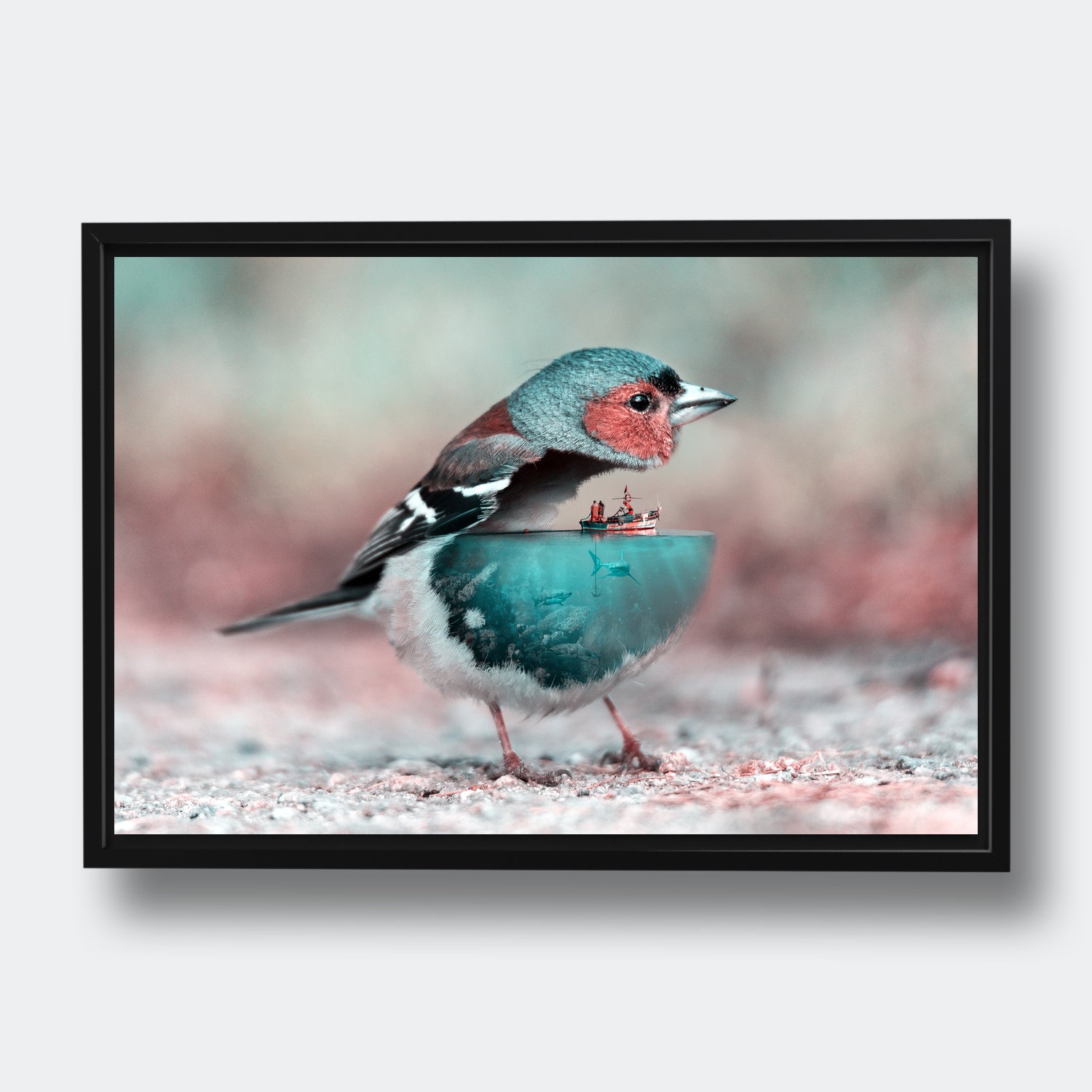 Aqua Birdy