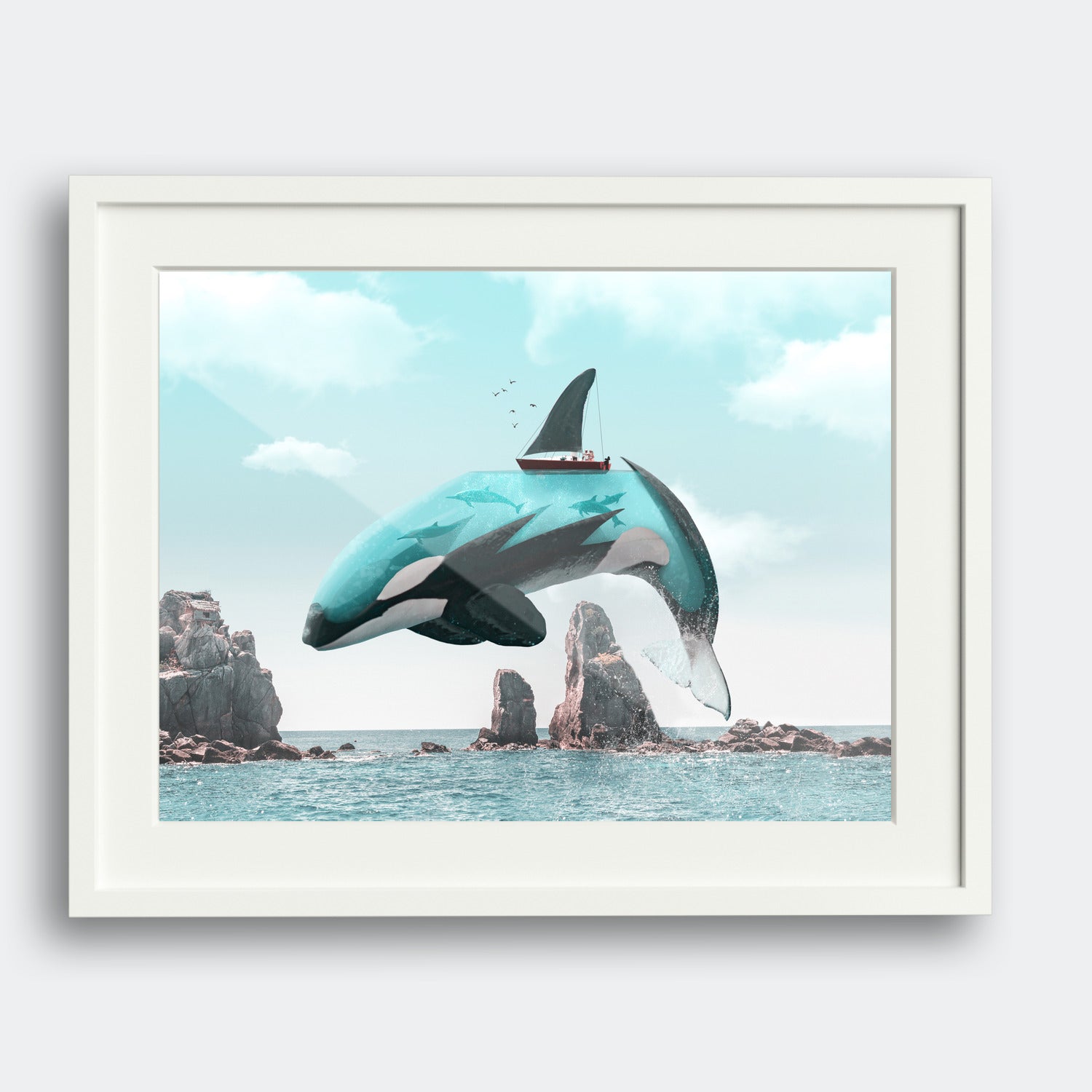 Aqua Orca