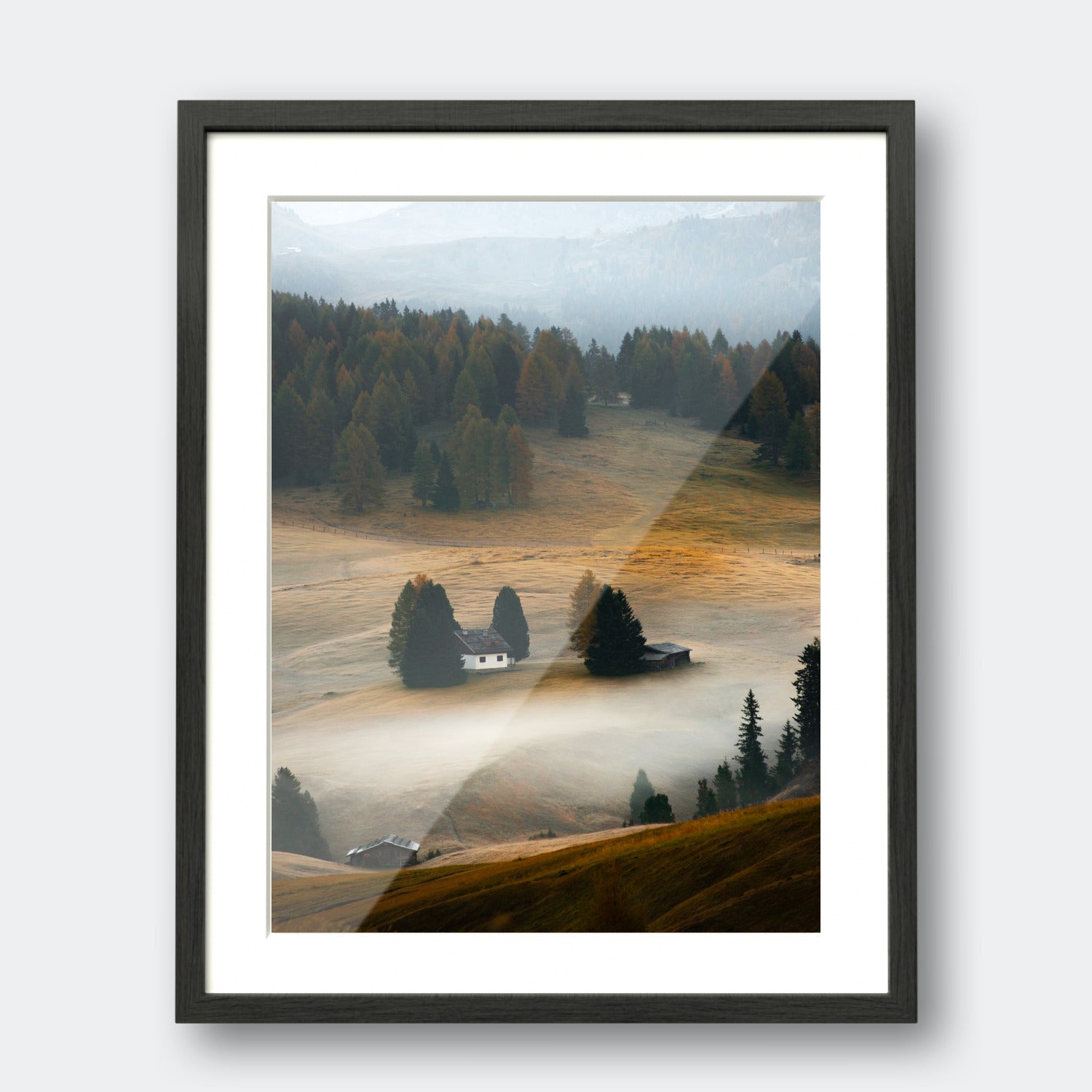 Autumn Morning