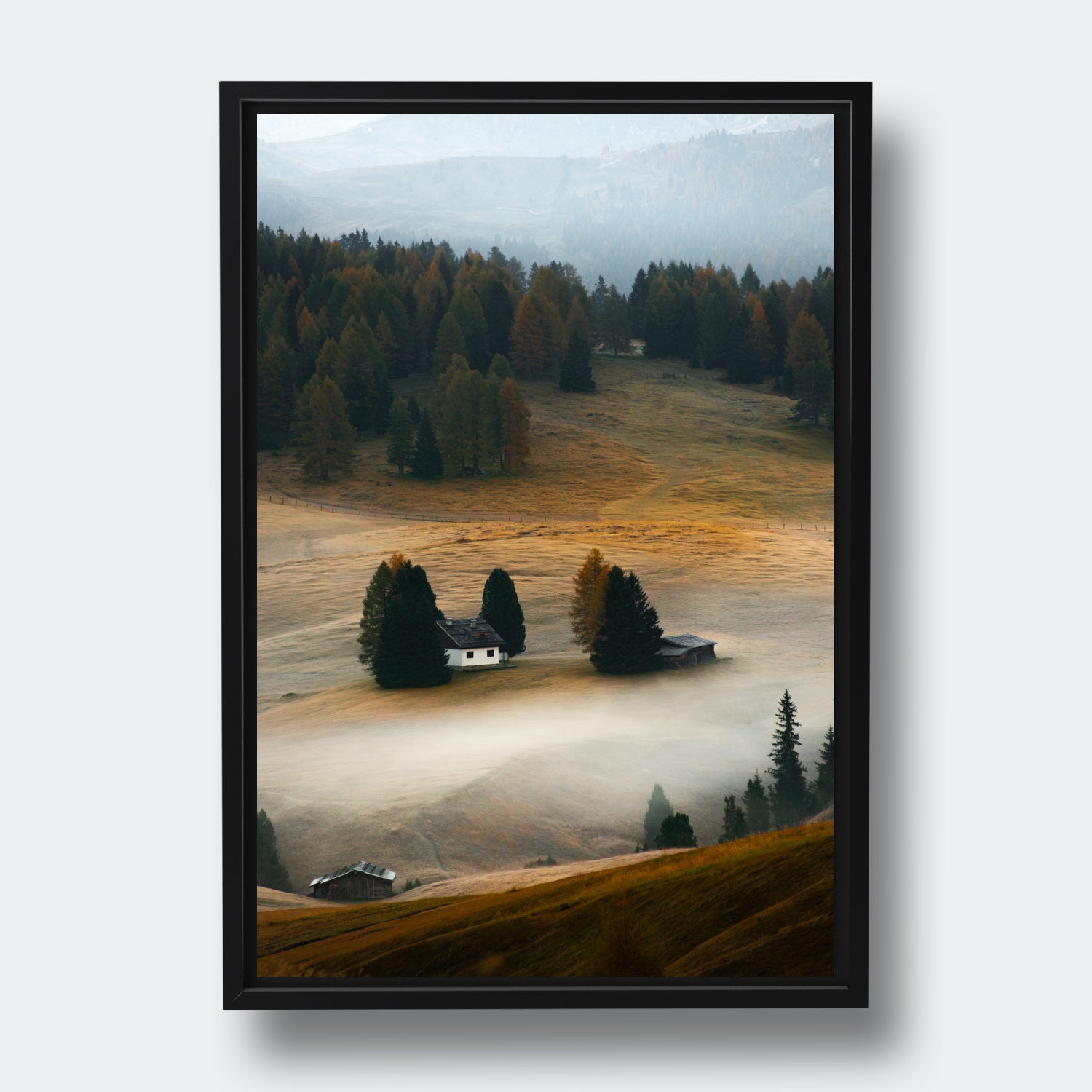 Autumn Morning