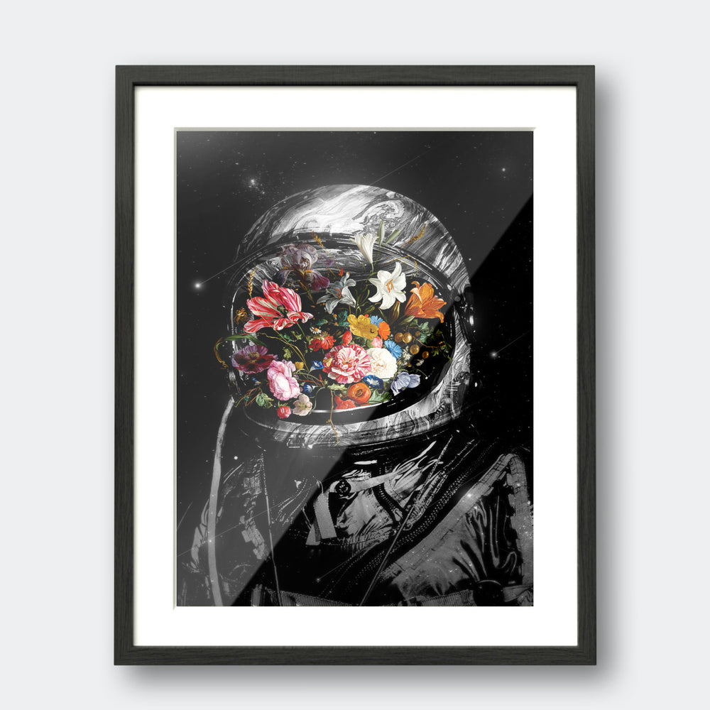 Bloom II