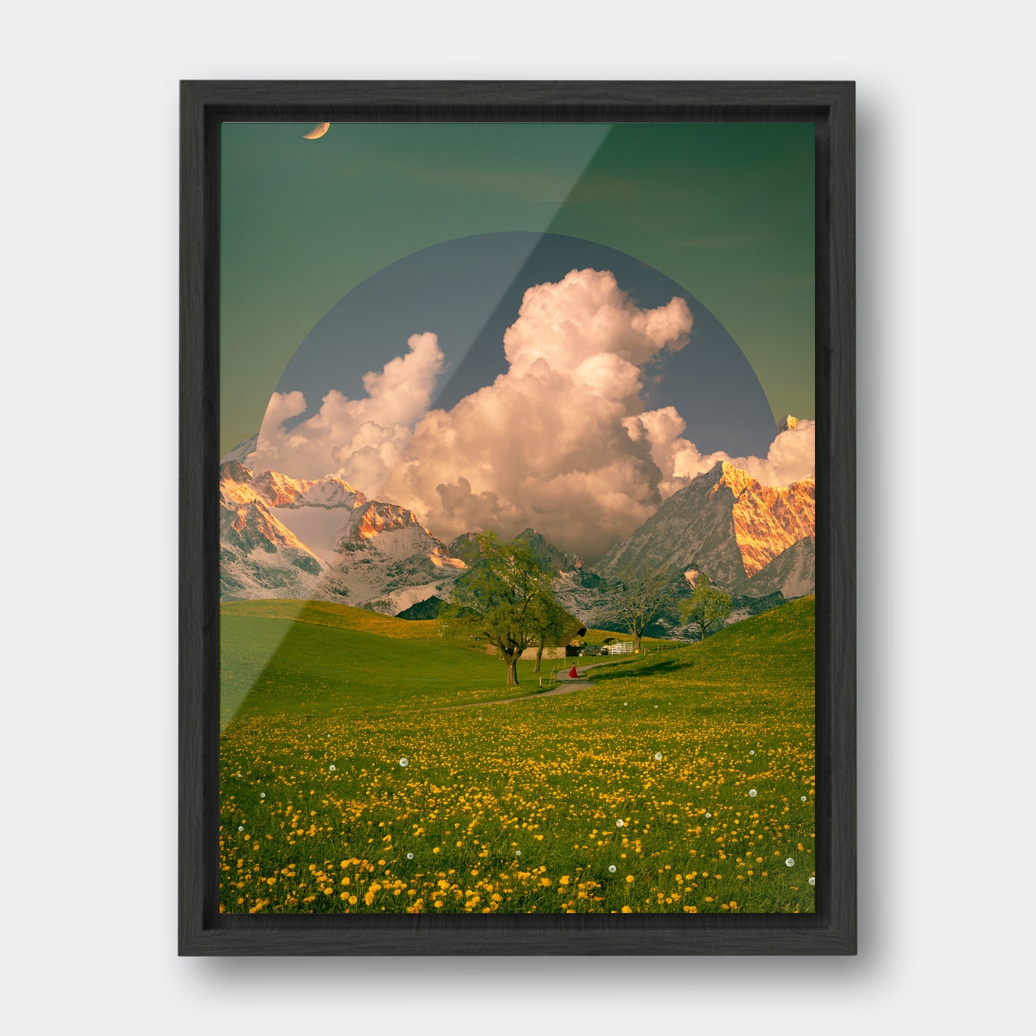 Dandelion Field