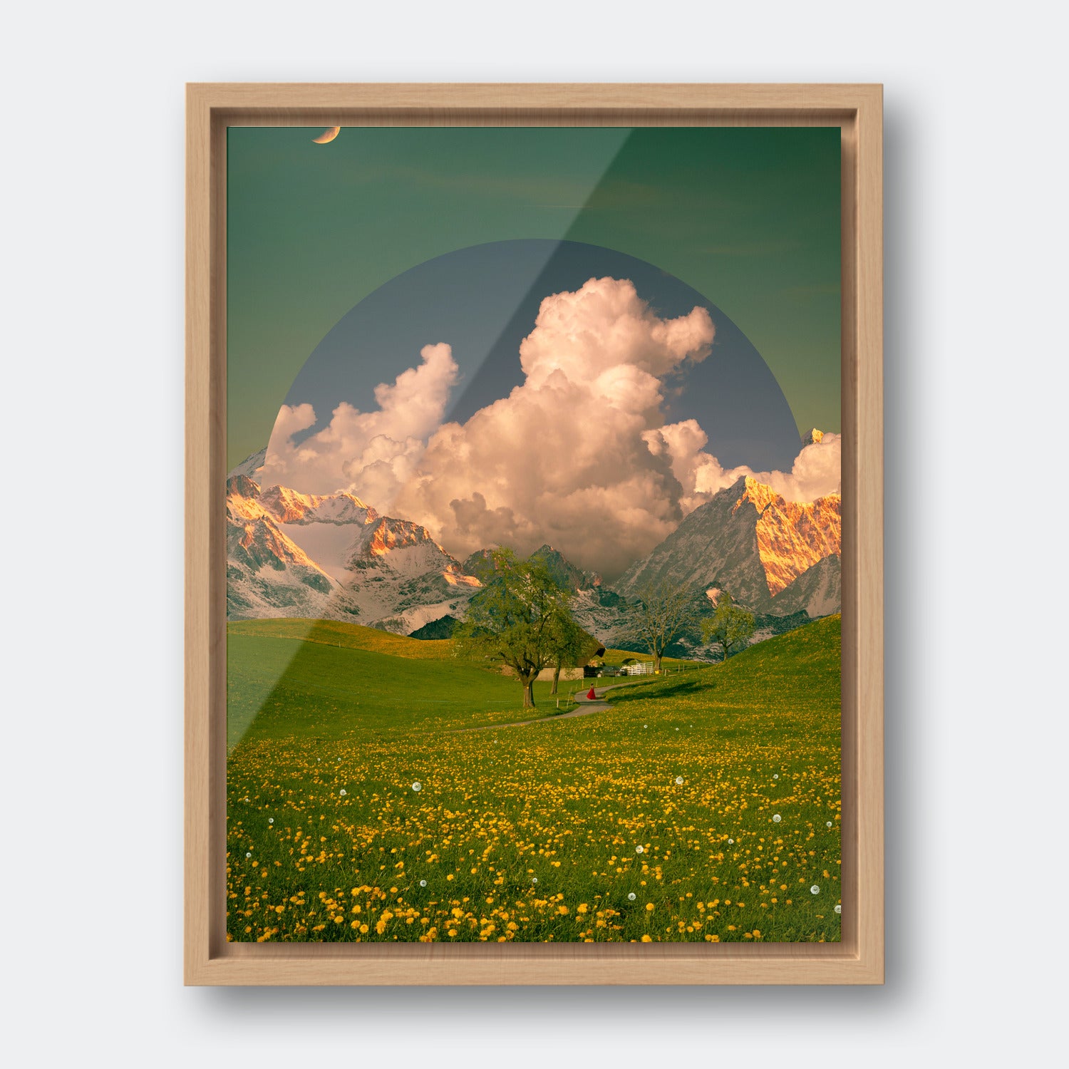Dandelion Field