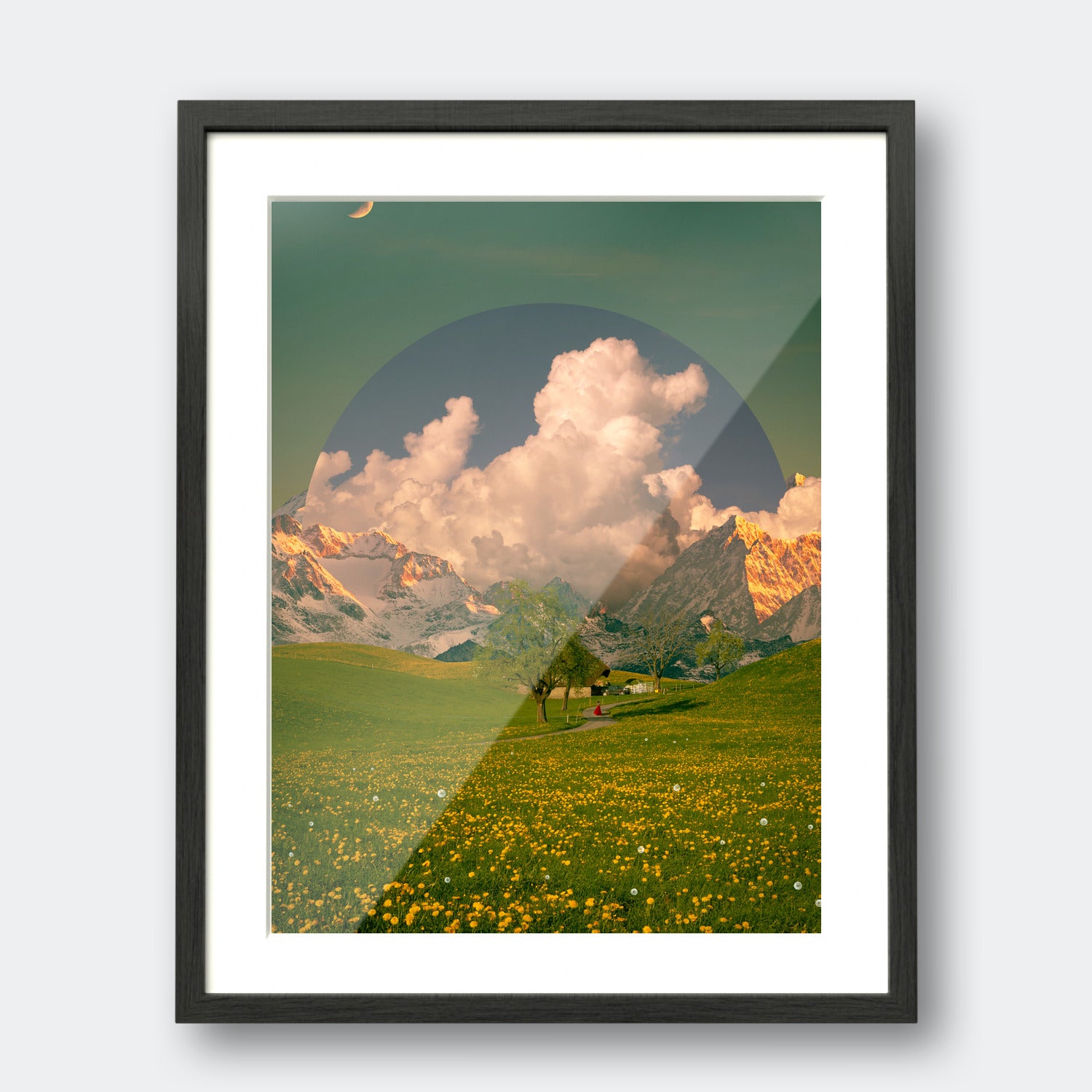 Dandelion Field