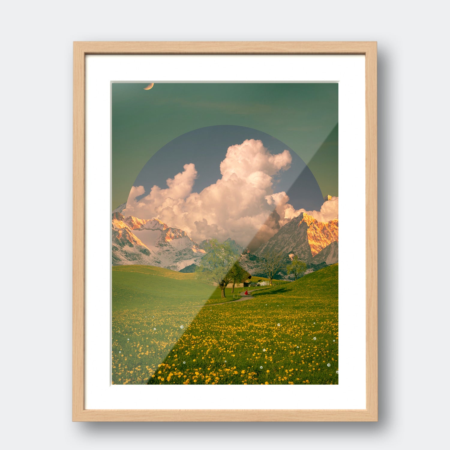 Dandelion Field