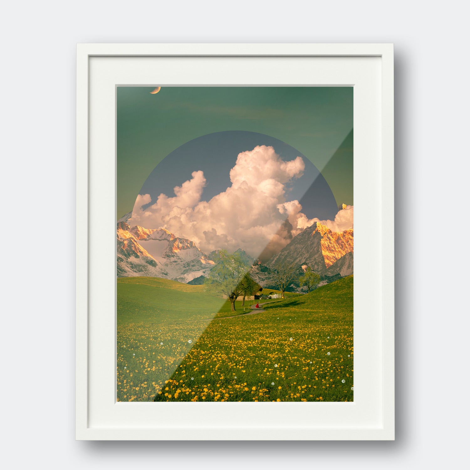 Dandelion Field