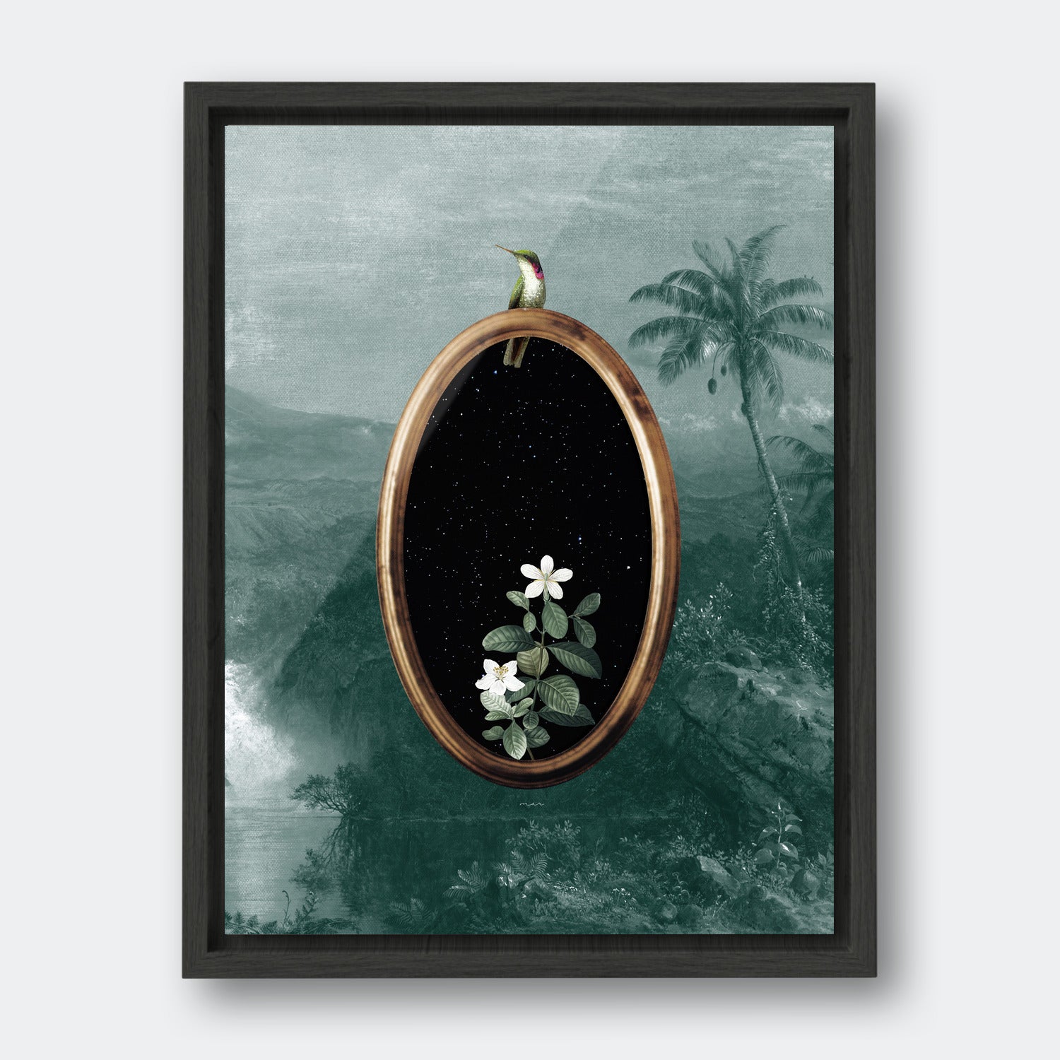Humming Bird Portal