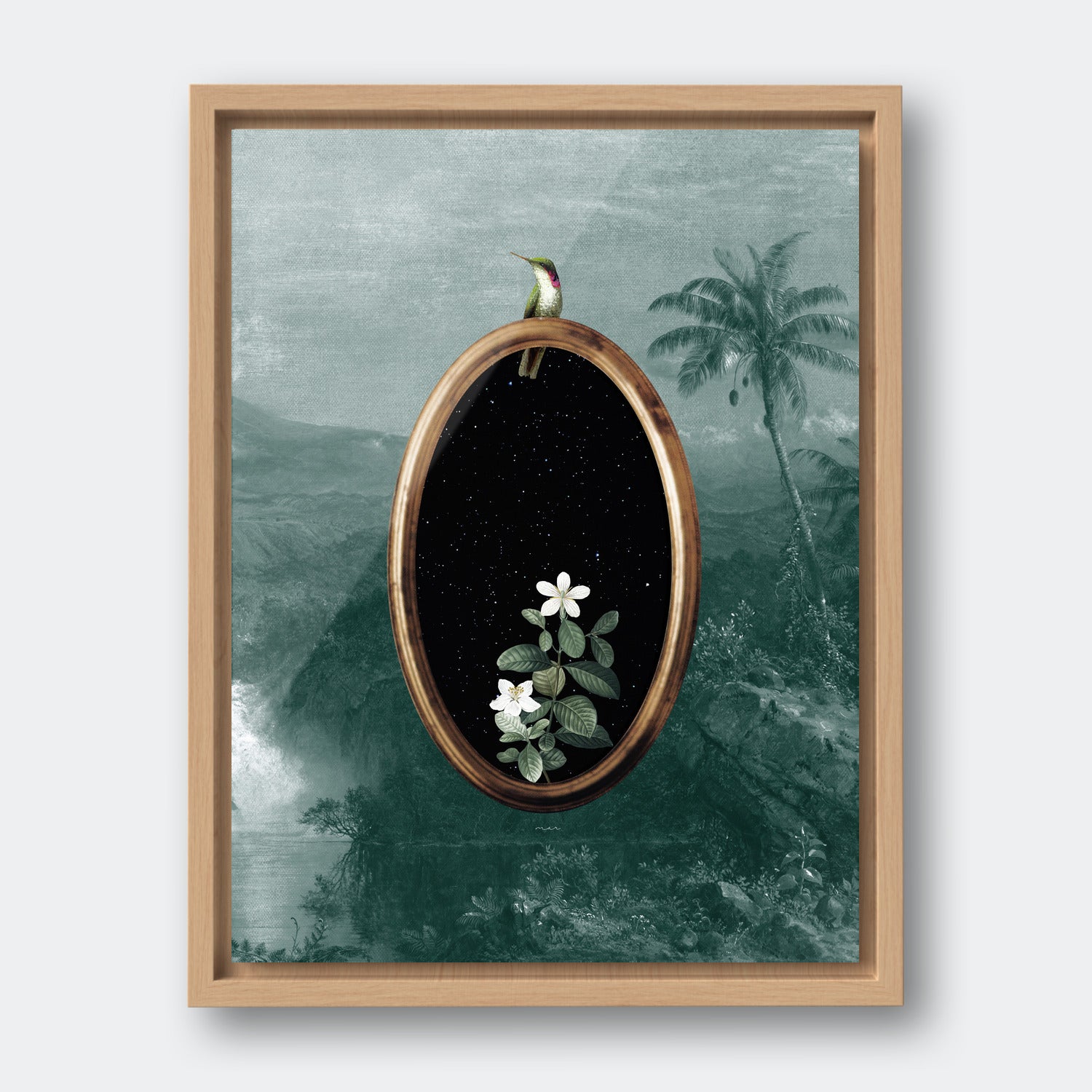 Humming Bird Portal