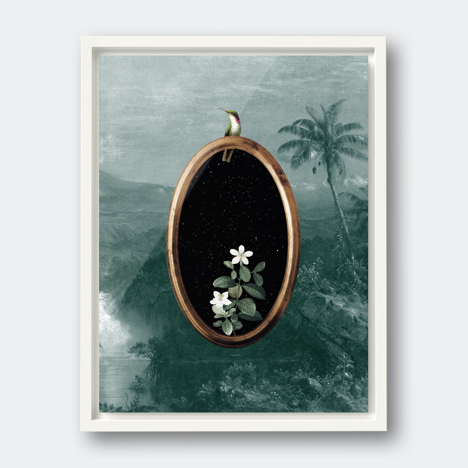 Humming Bird Portal