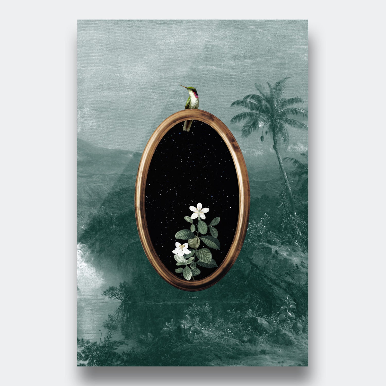 Humming Bird Portal
