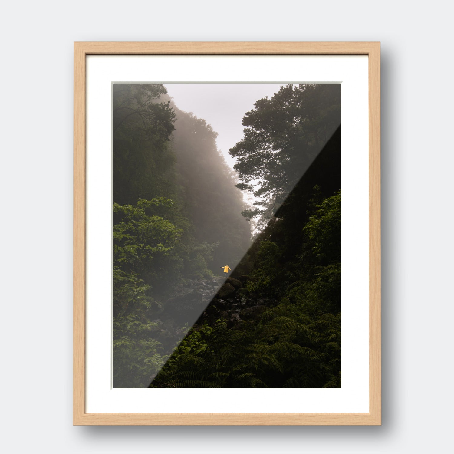 Madeira Jungle