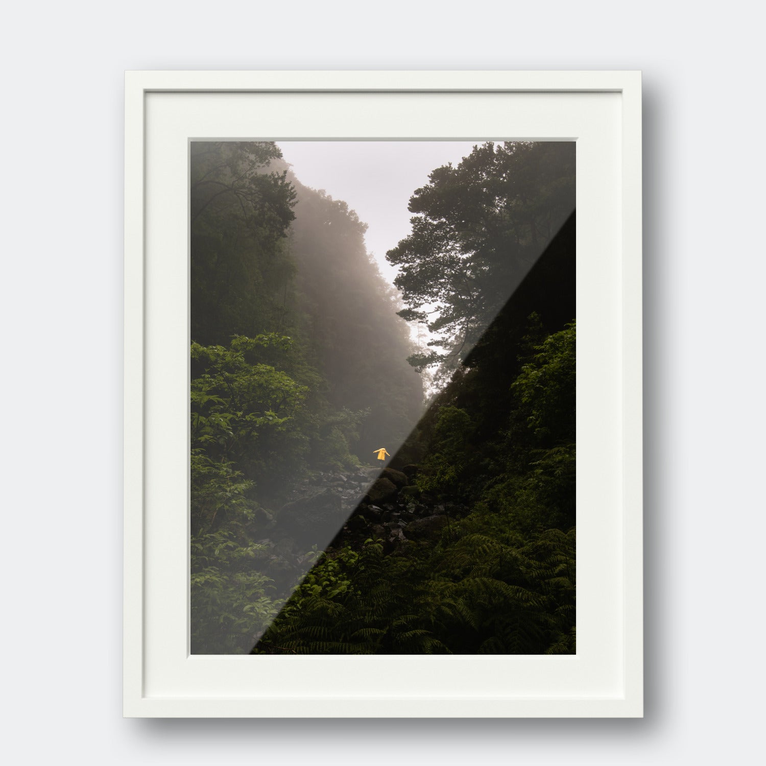 Madeira Jungle