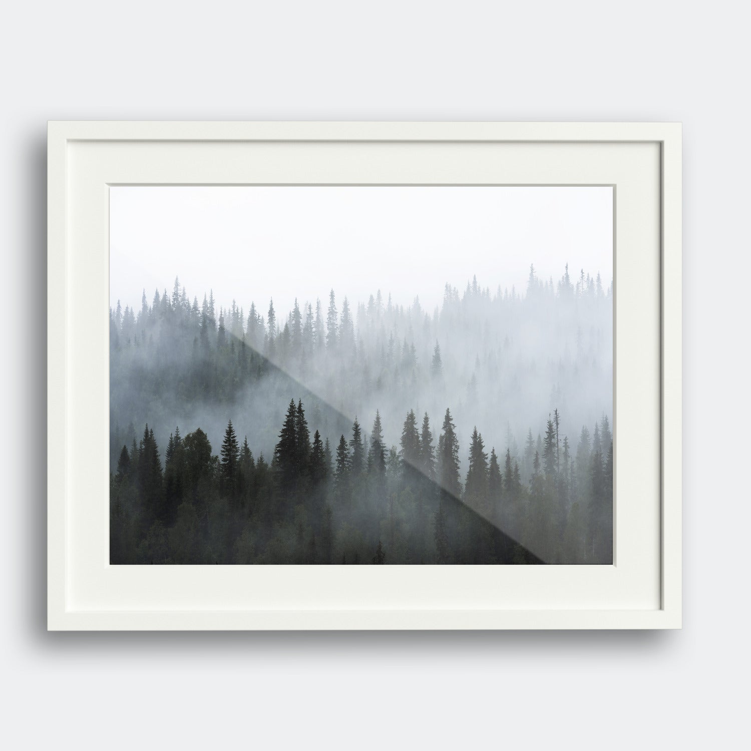 Moody Trees I