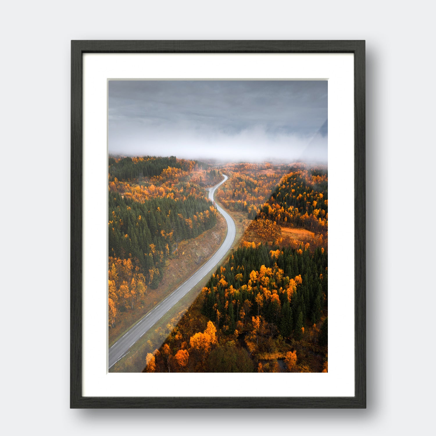 Road Through Senja