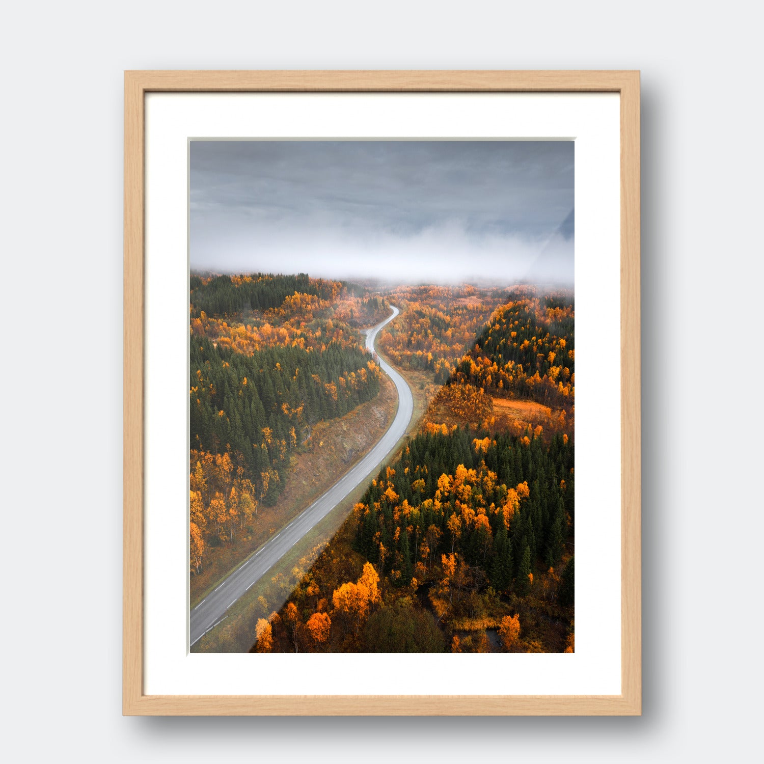 Road Through Senja
