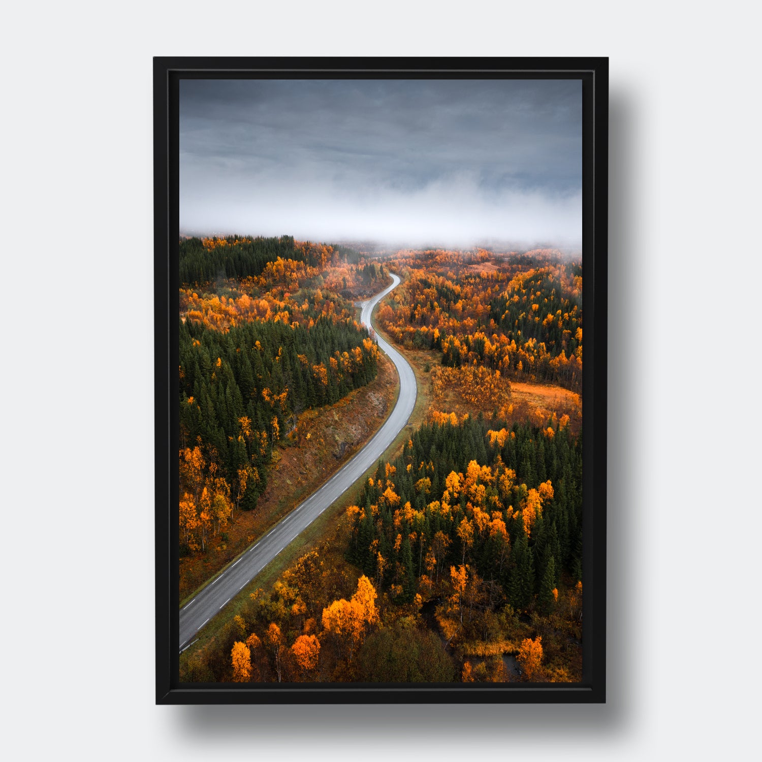 Road Through Senja