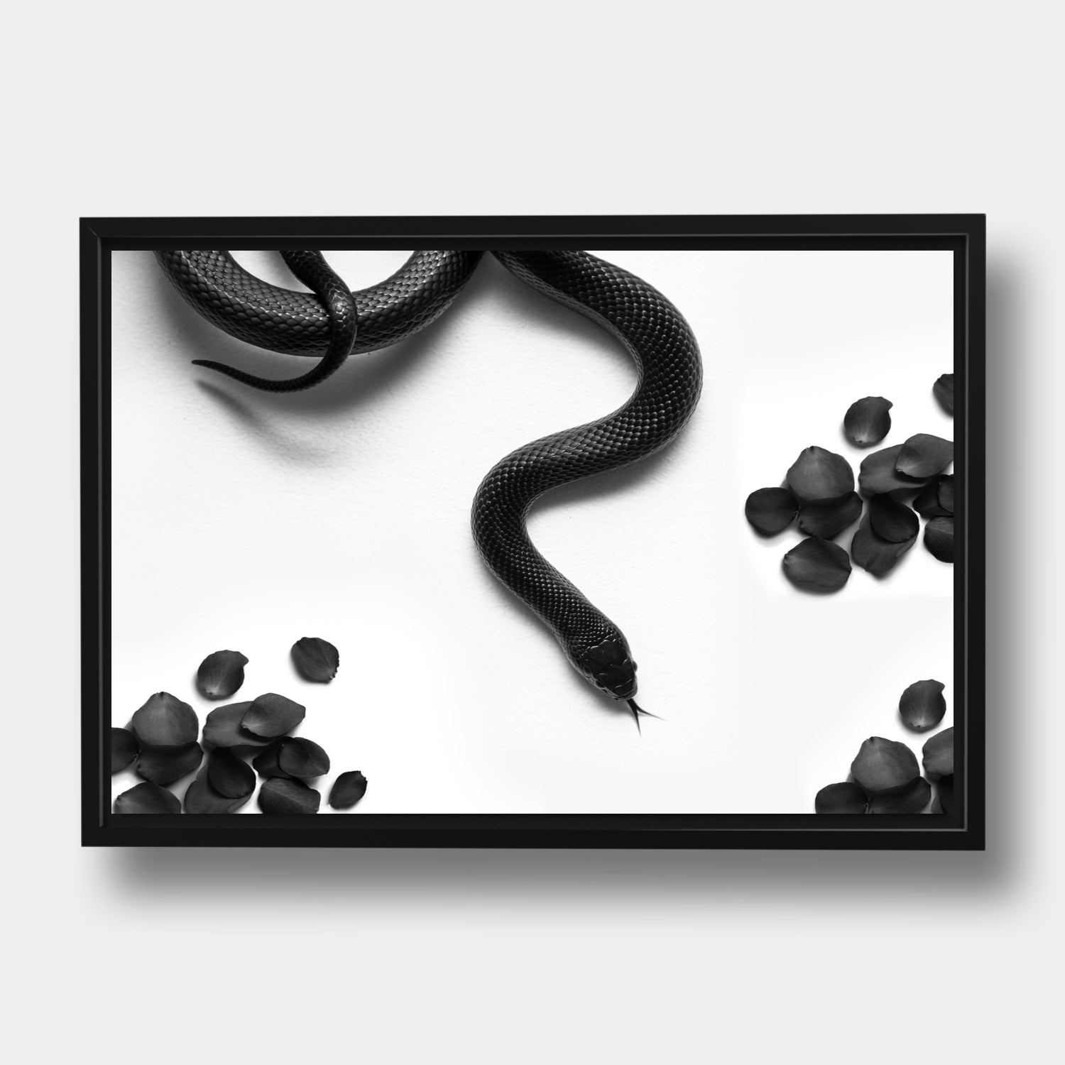 Snake Petals