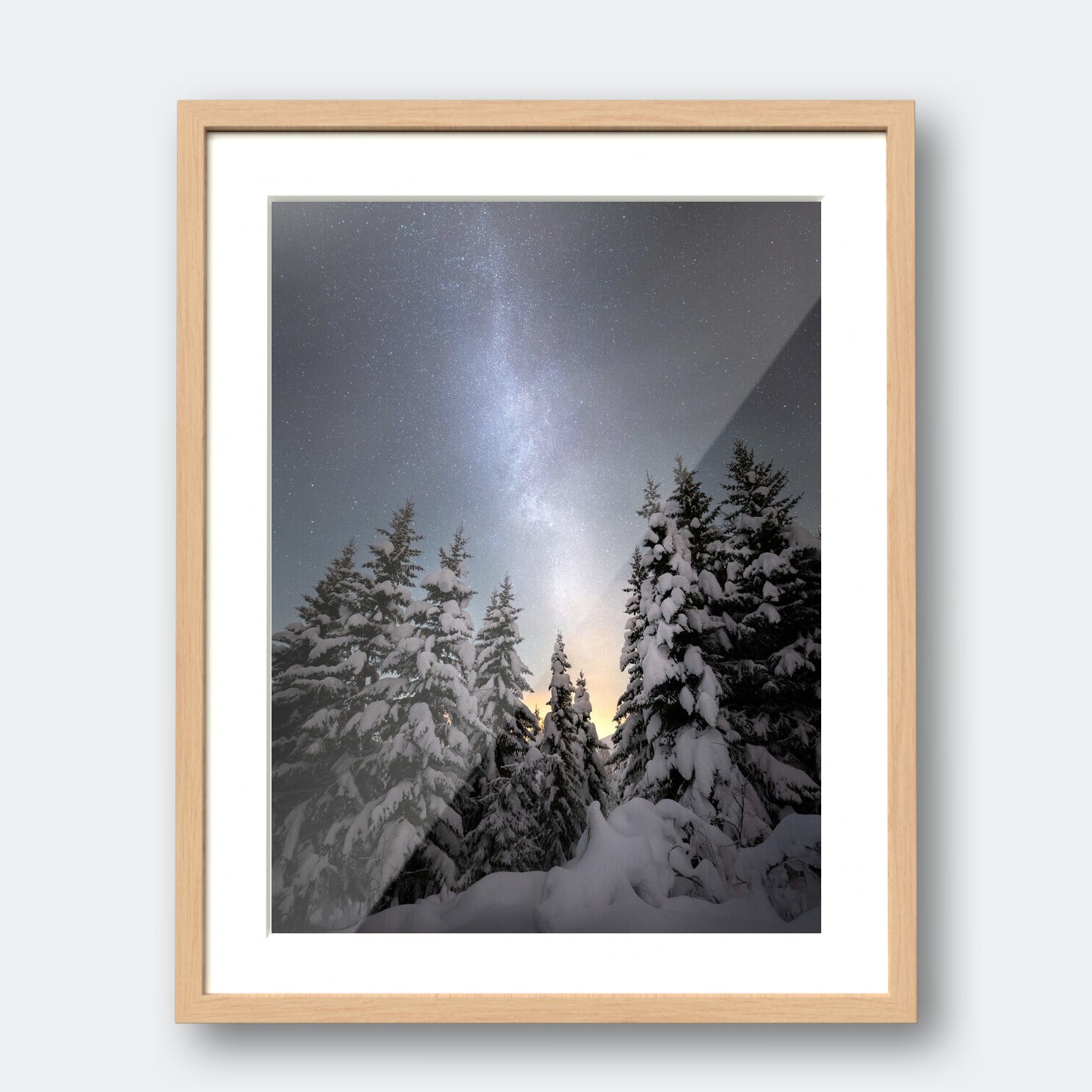 Starry Woodlands