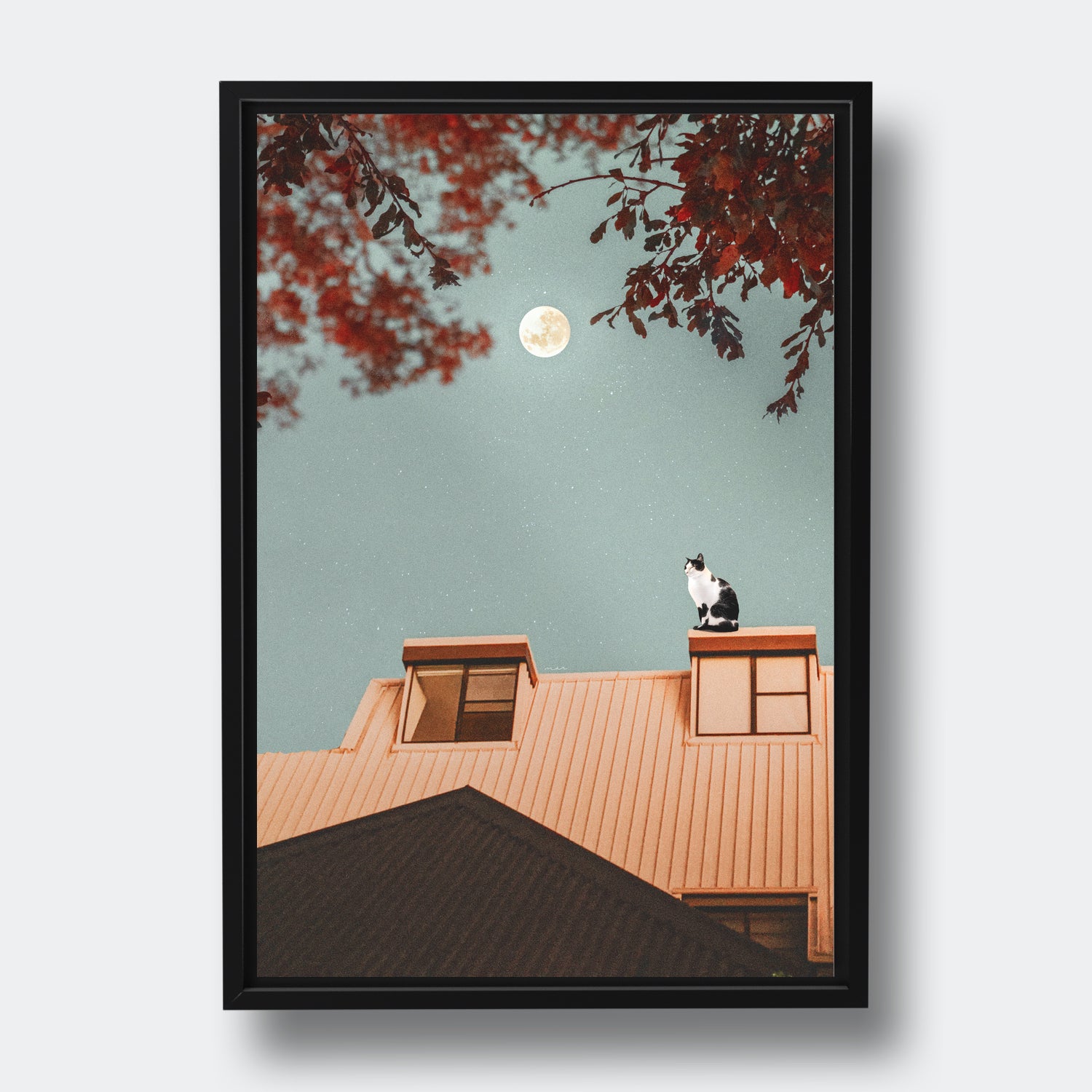 The Cat On The Roof