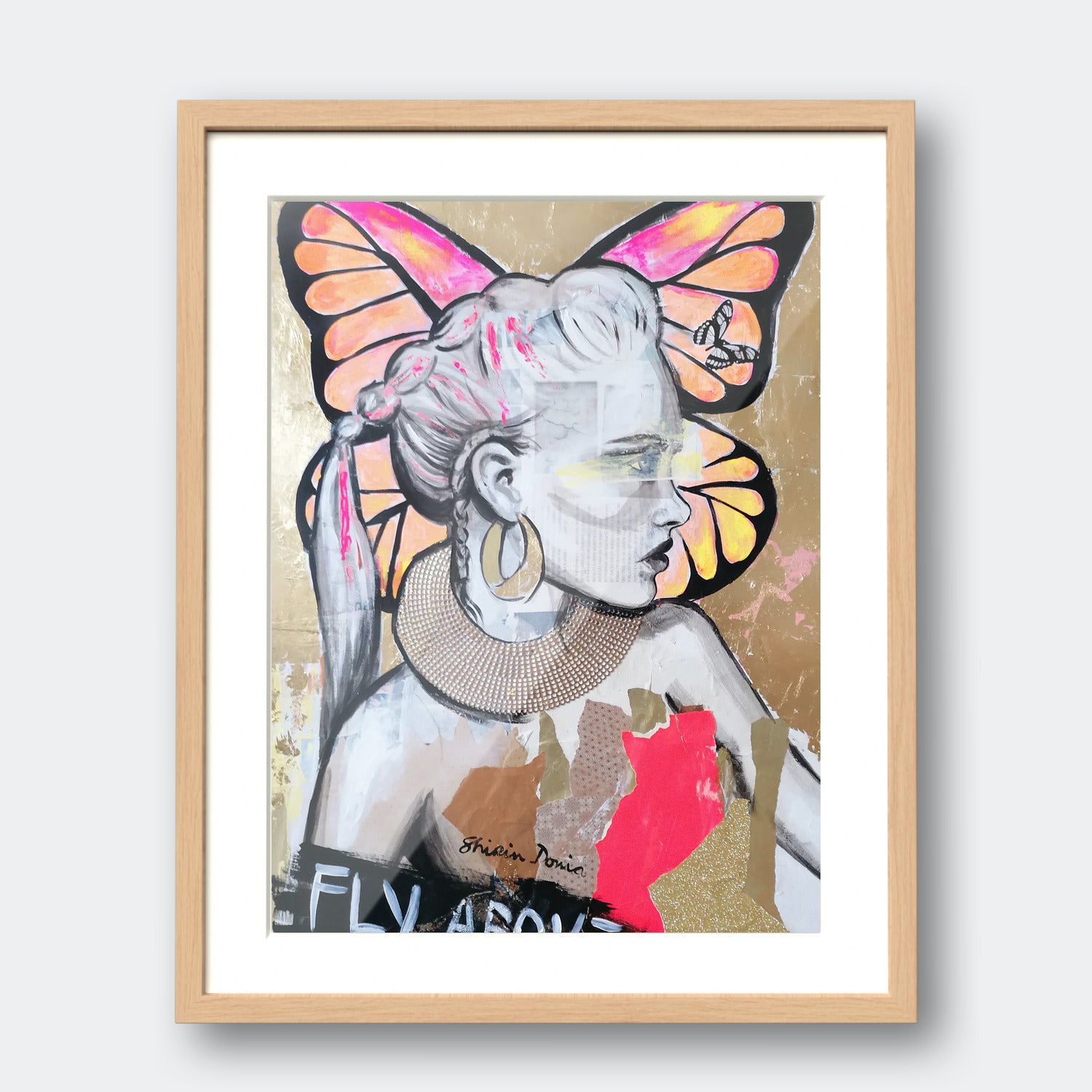 Fly Above