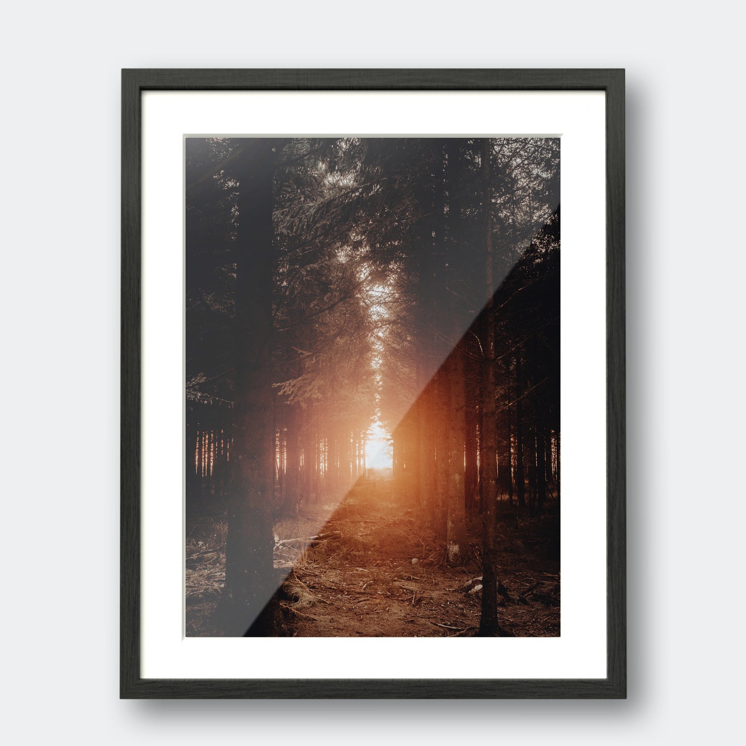Seek | Belgium