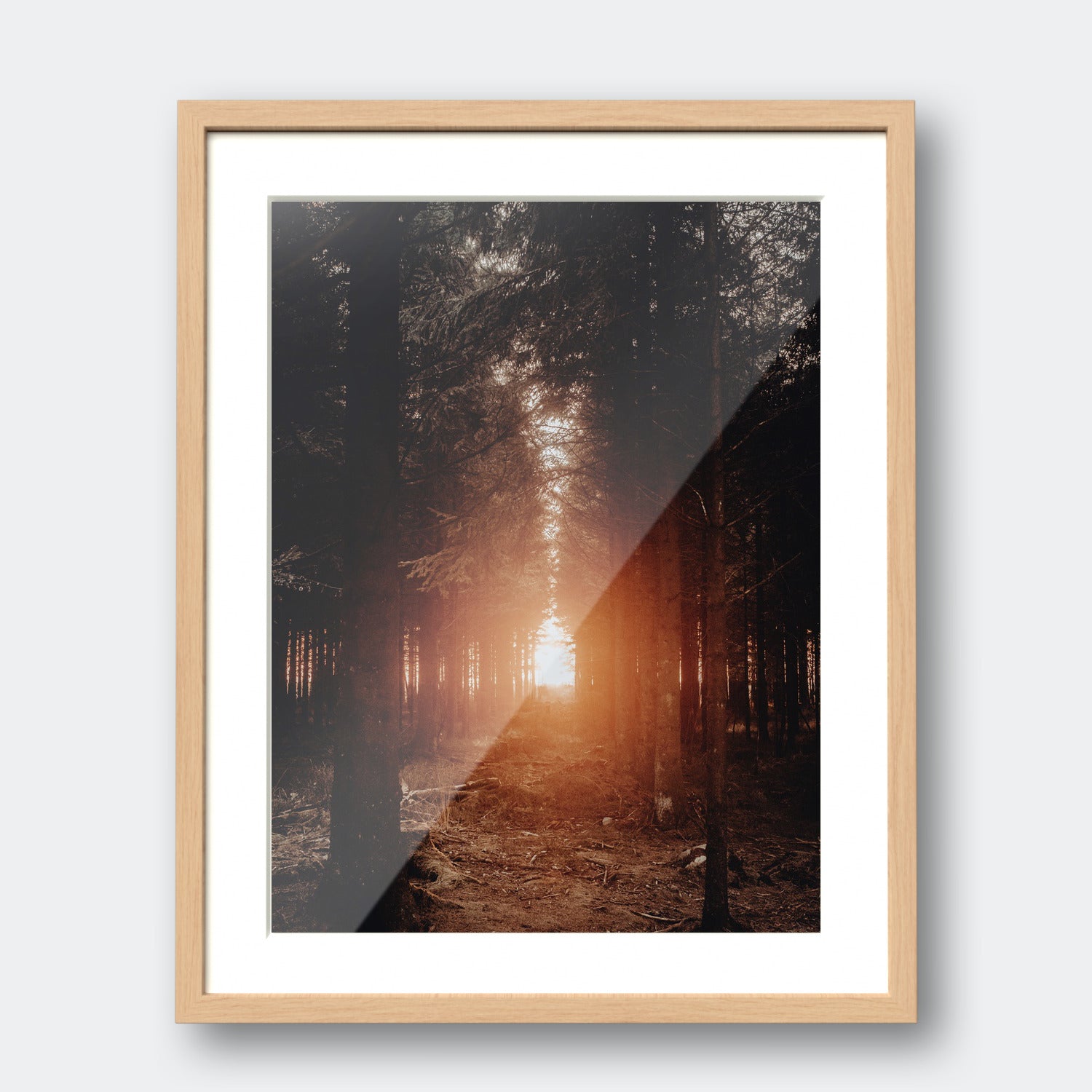 Seek | Belgium