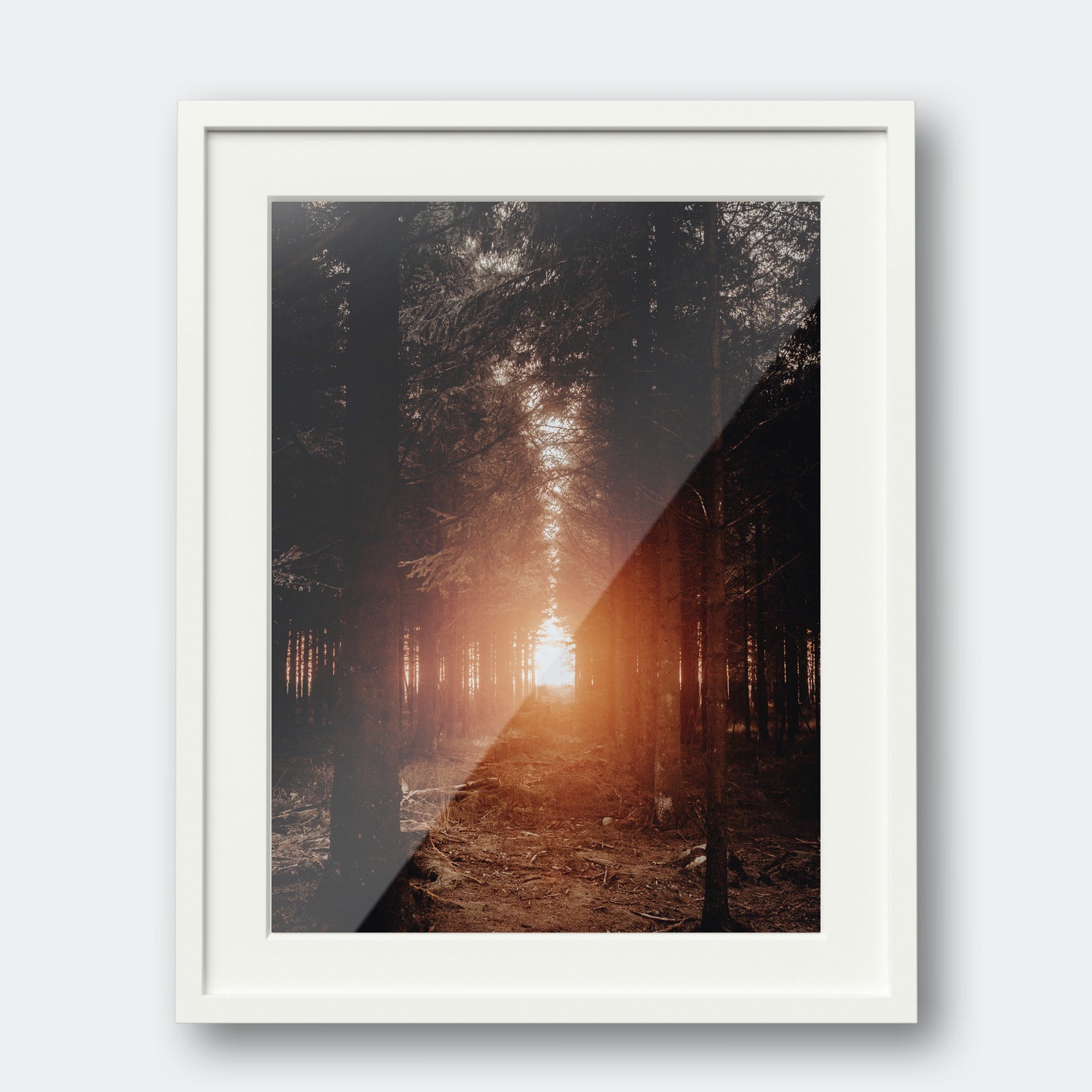 Seek | Belgium